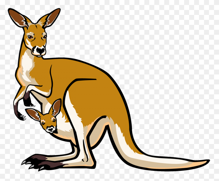 Caution Kangaroo Clip Art At Clipar