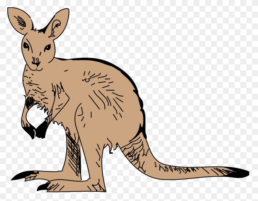 Caution Kangaroo Clip Art At Clipar