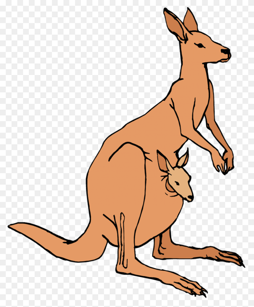 Caution Kangaroo Clip Art At Clipar