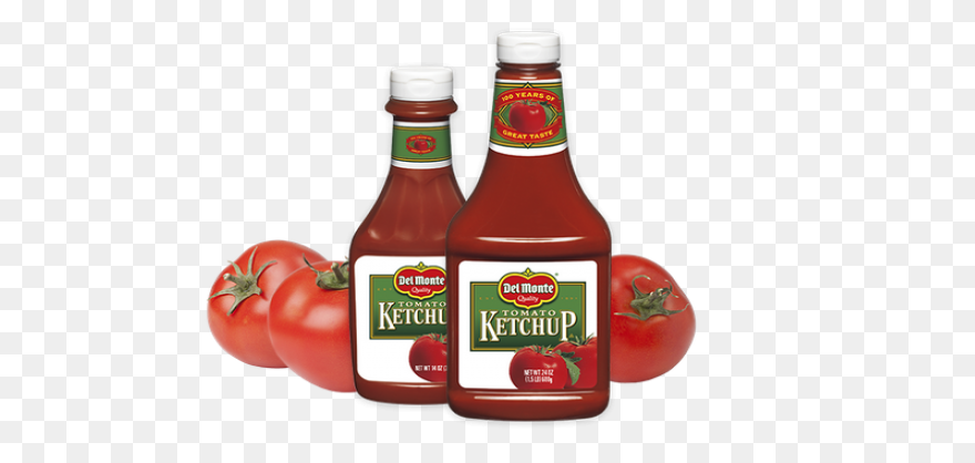 Real Good Tomato Ketchup | No Added