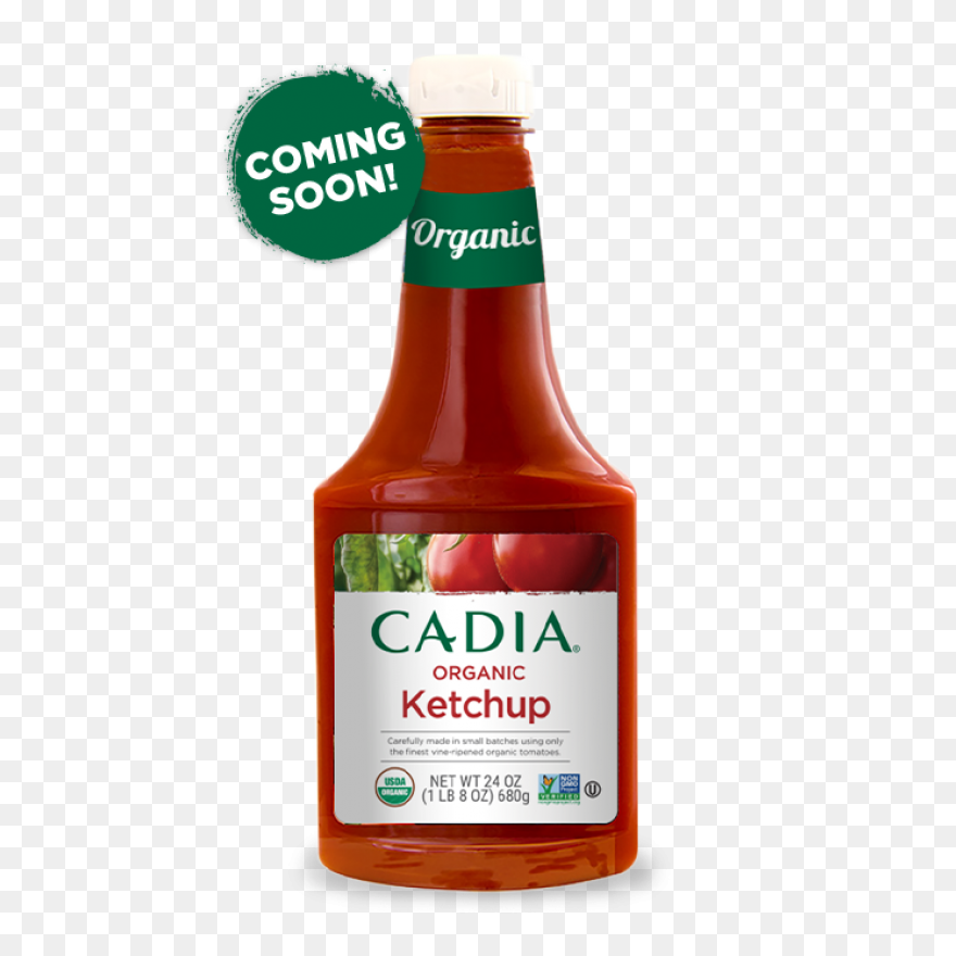 Real Good Tomato Ketchup | No Added