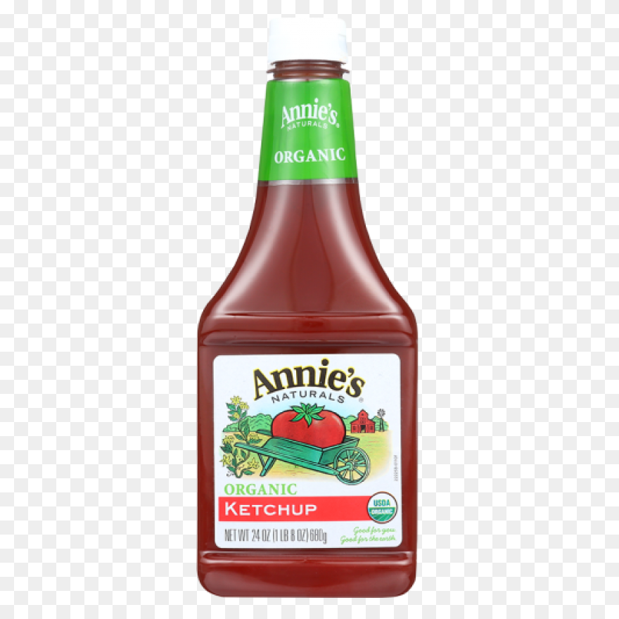 Real Good Tomato Ketchup | No Added