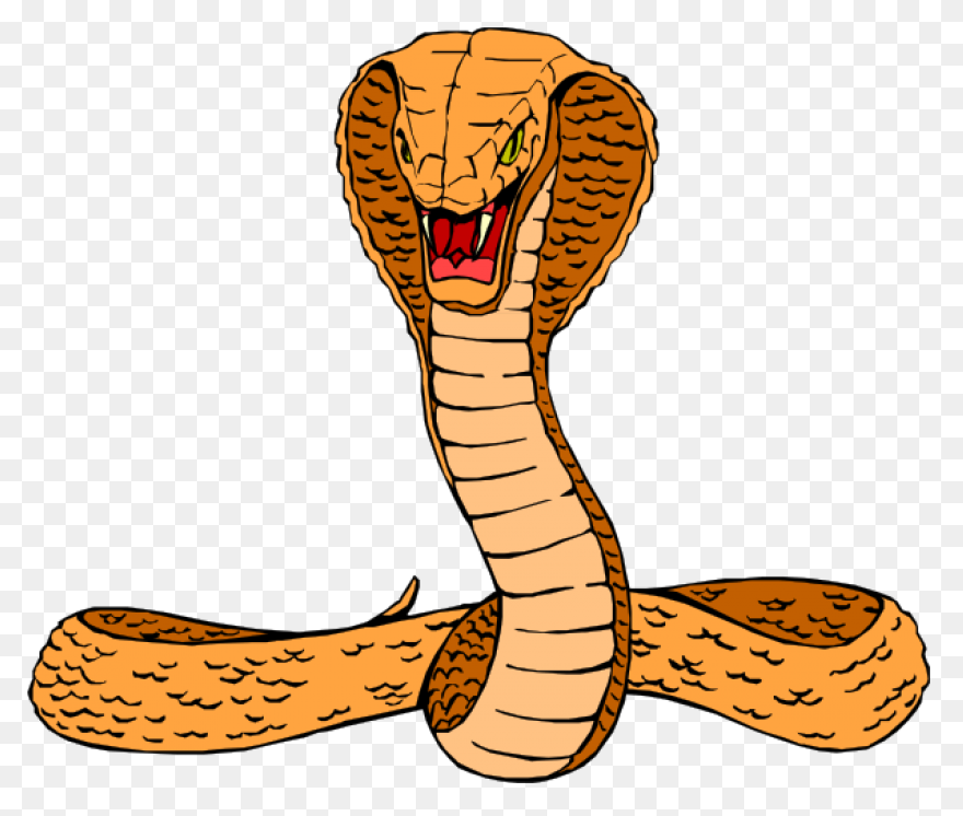 Download Cobras King Cobra Snakes T