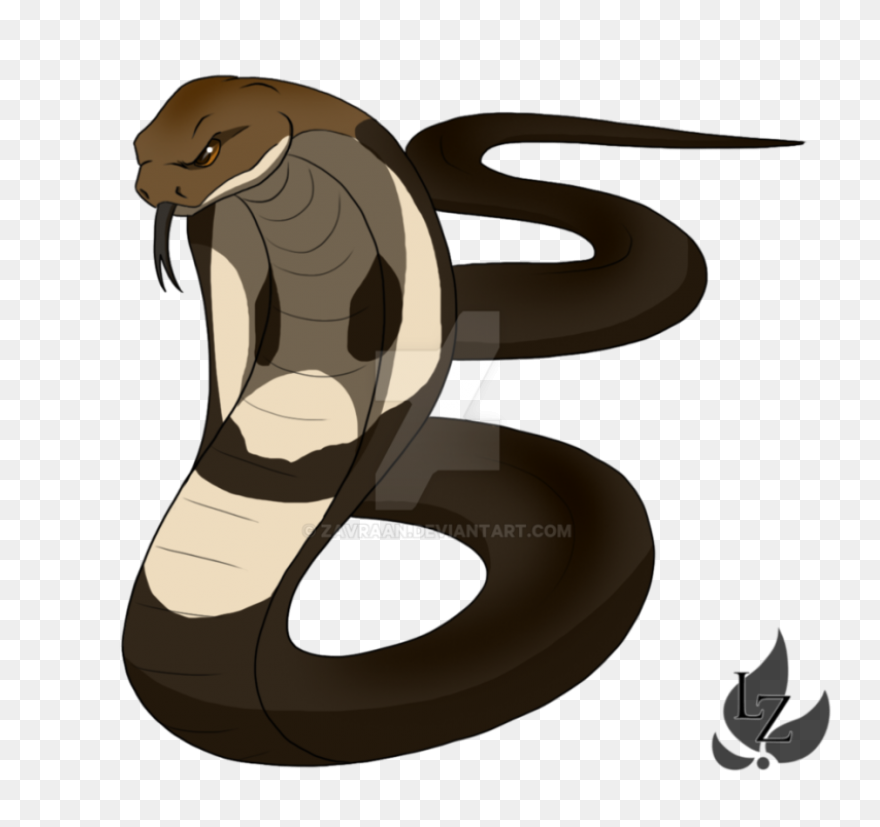 Download Cobras King Cobra Snakes T