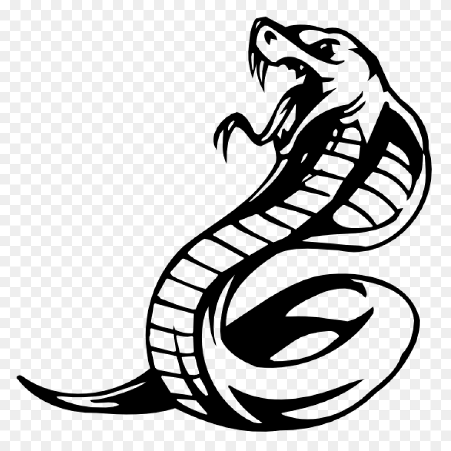 Download Cobras King Cobra Snakes T