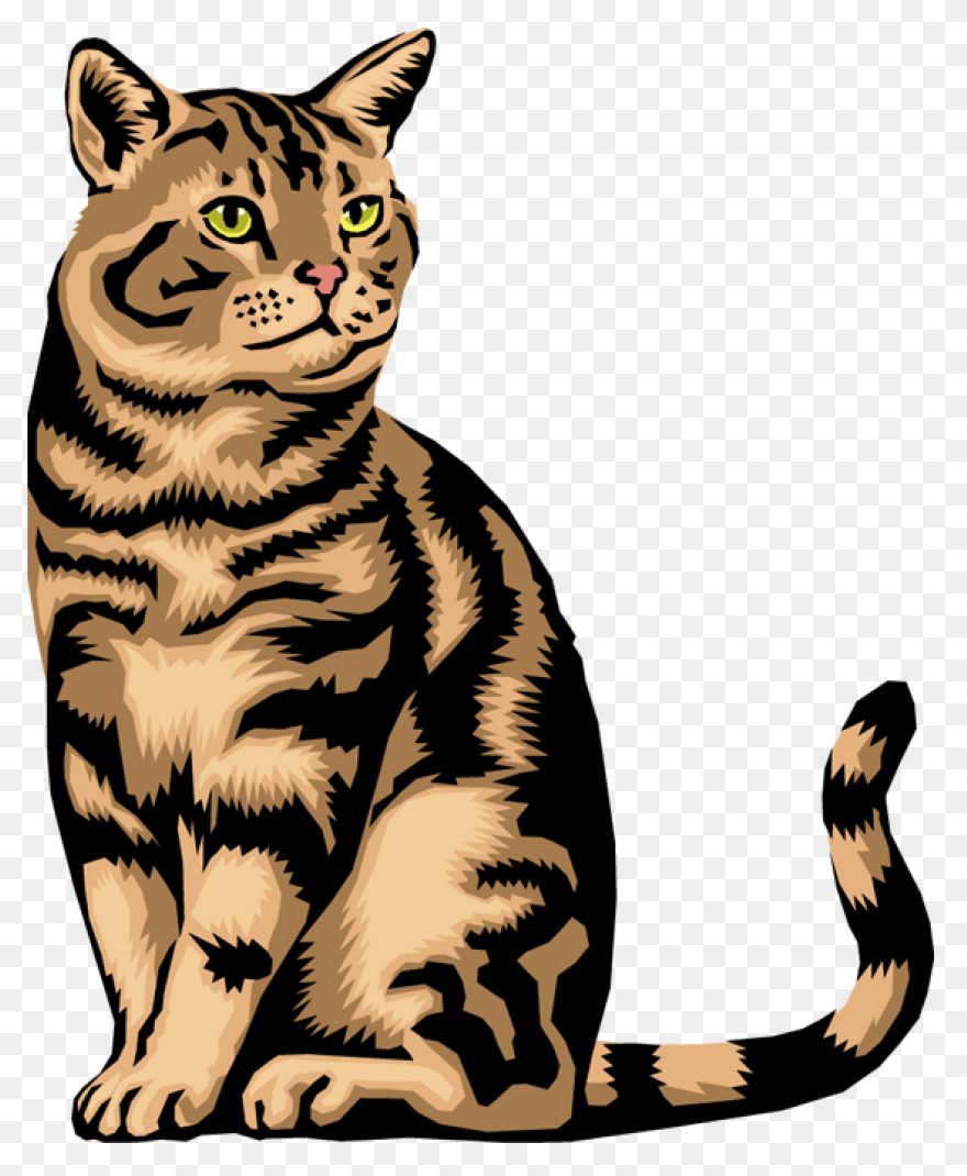 Kawaii Cute Cat Kittens Cats Catlov