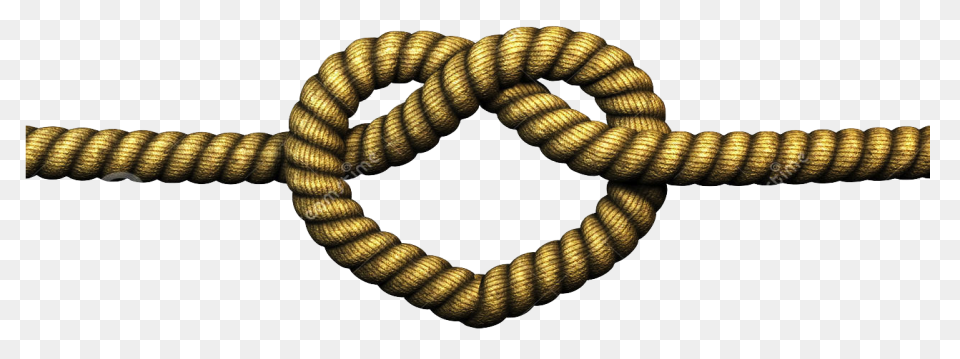 Six Essential Knots To Know! - Hous