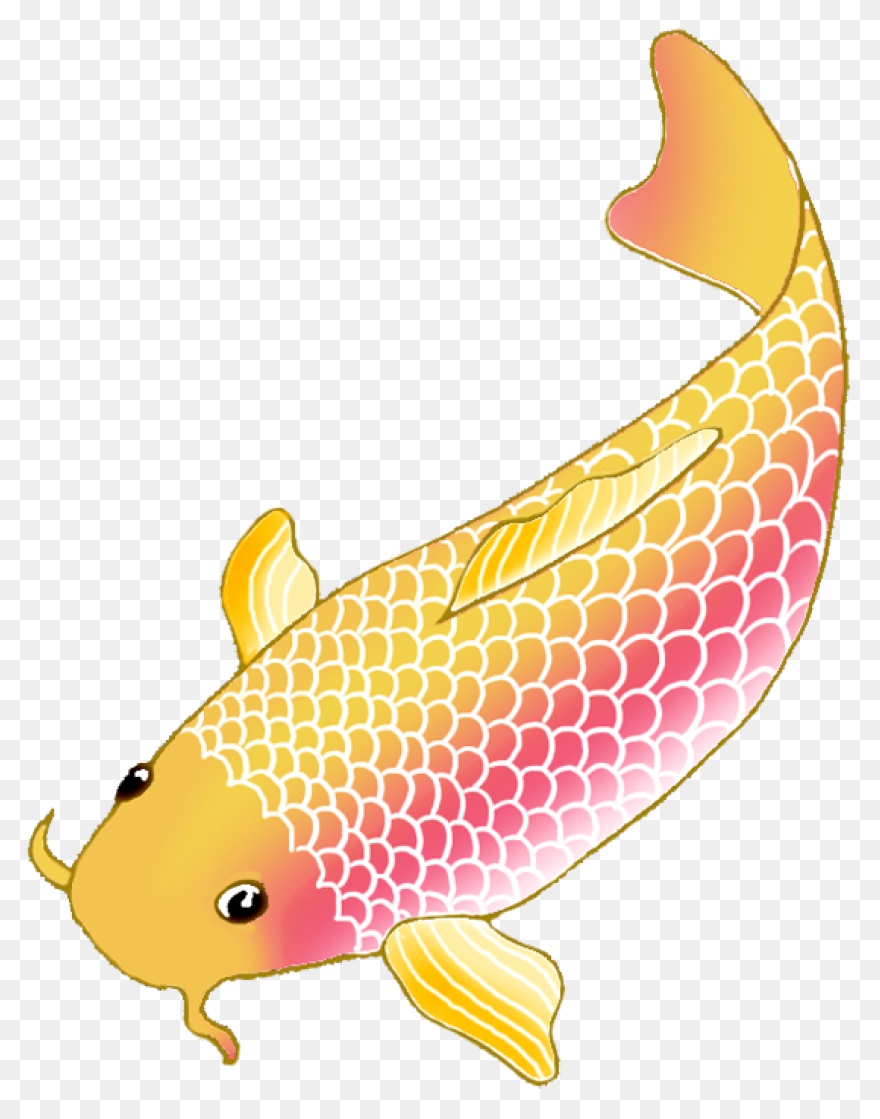 Koi Fish