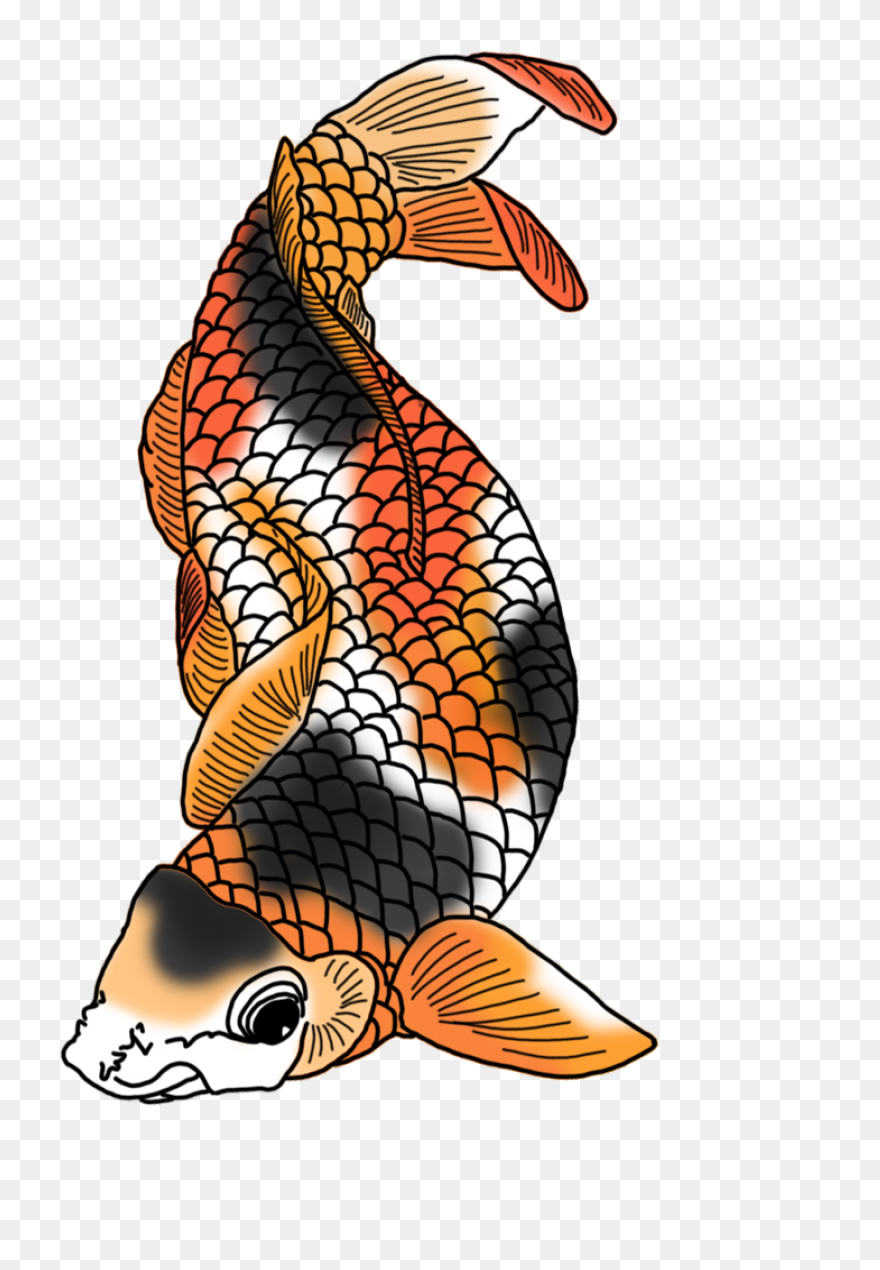 Koi Fish