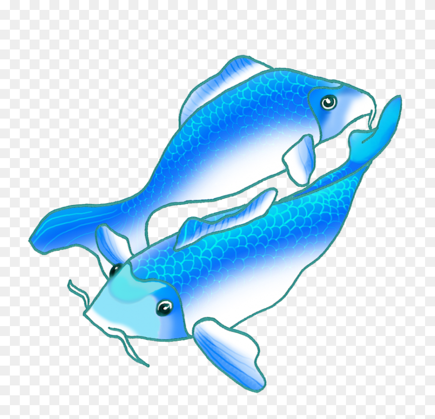 Koi Fish
