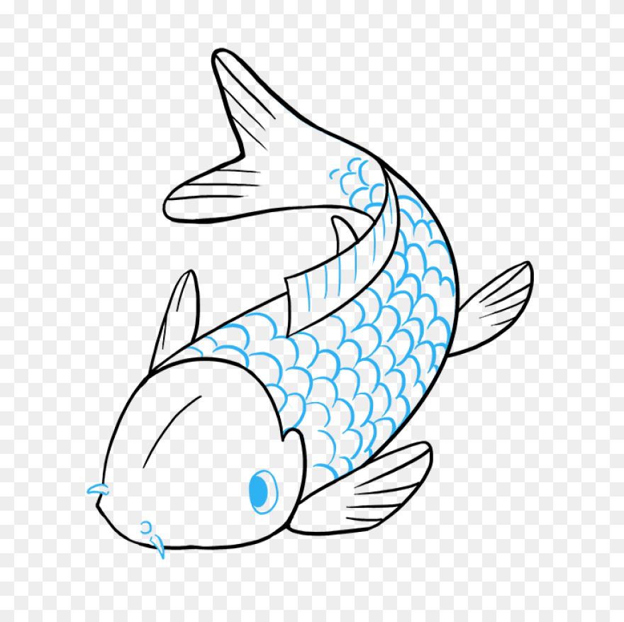 Koi Fish