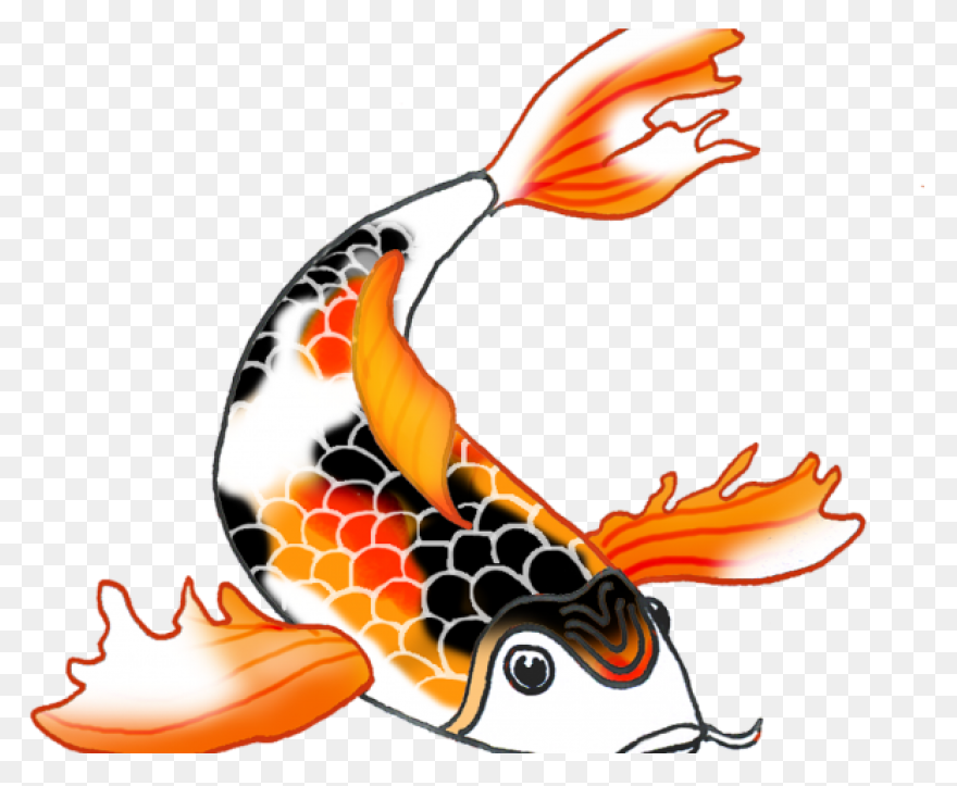 Koi Fish