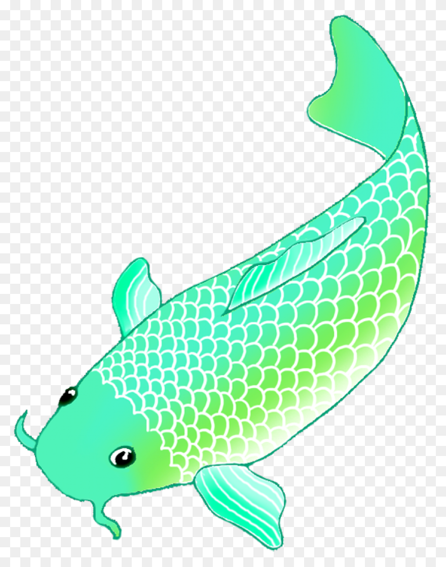 Koi Fish