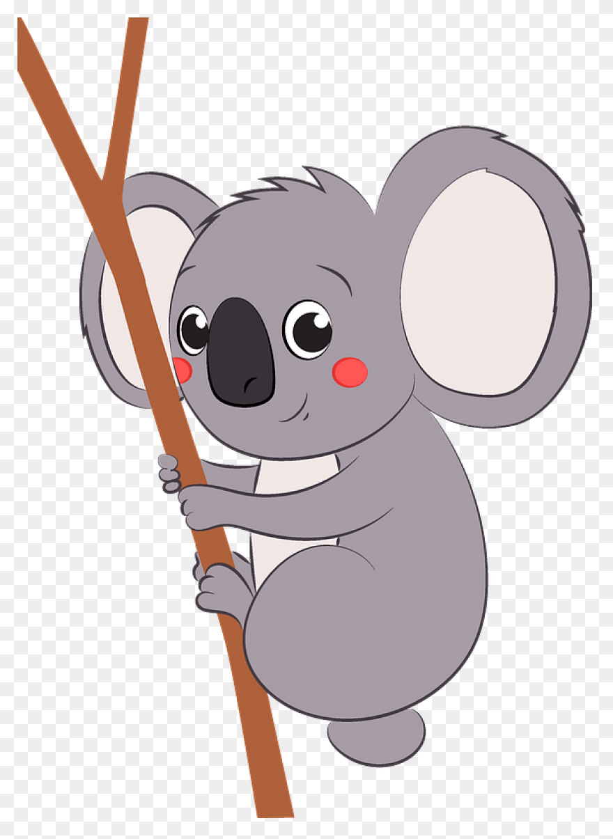 Free Koala Clipart - ClipartFlare