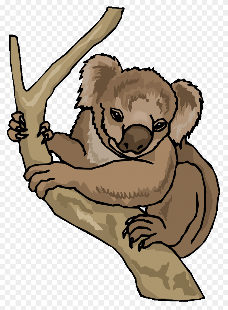 Free Koala Clipart - ClipartFlare