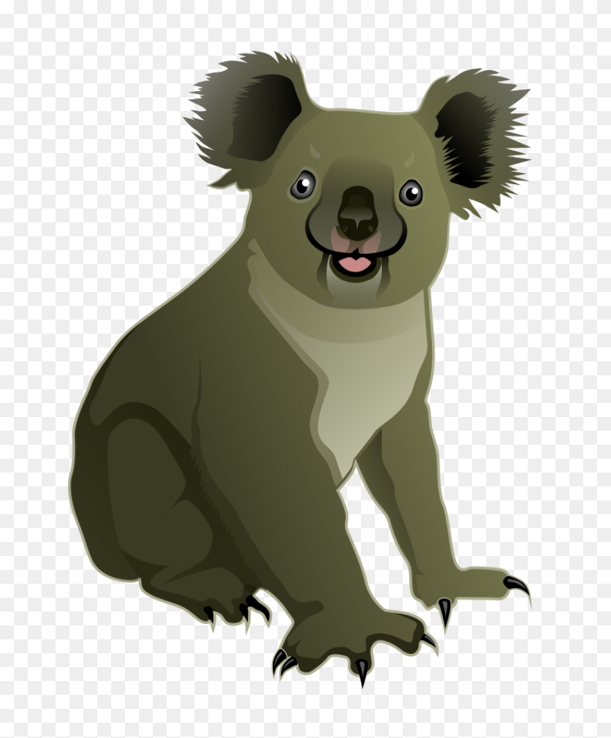 Free Koala Clipart - ClipartFlare
