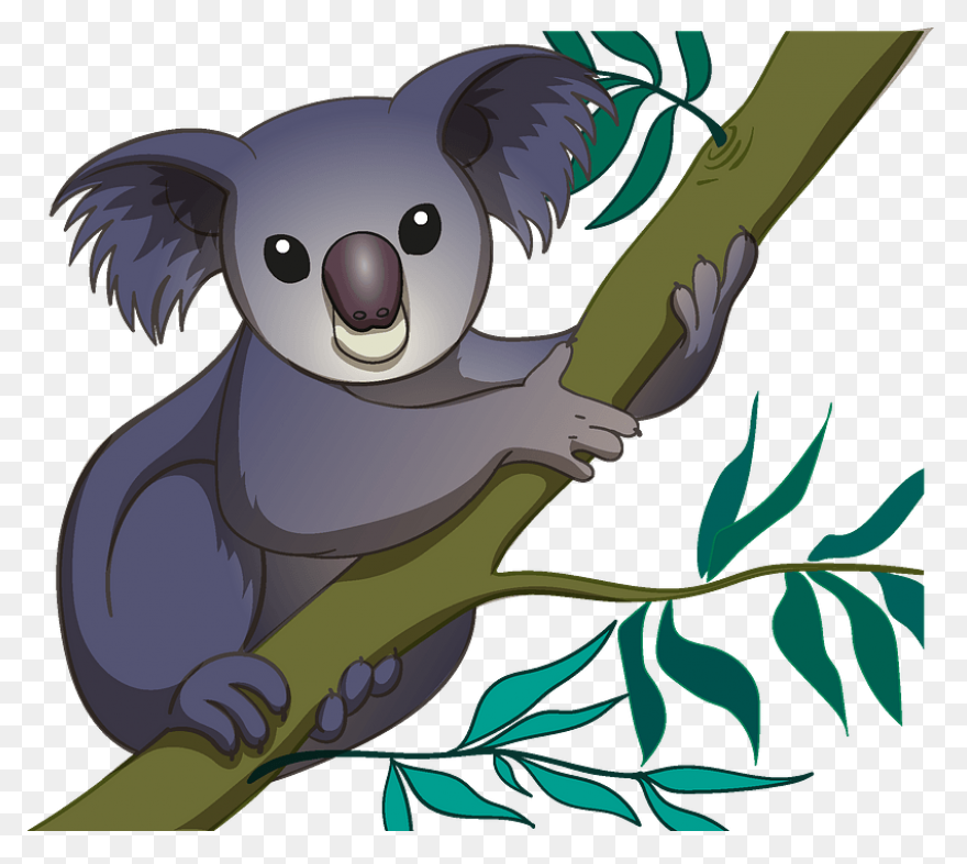 Koala Clipart. Free Download .png - Koala