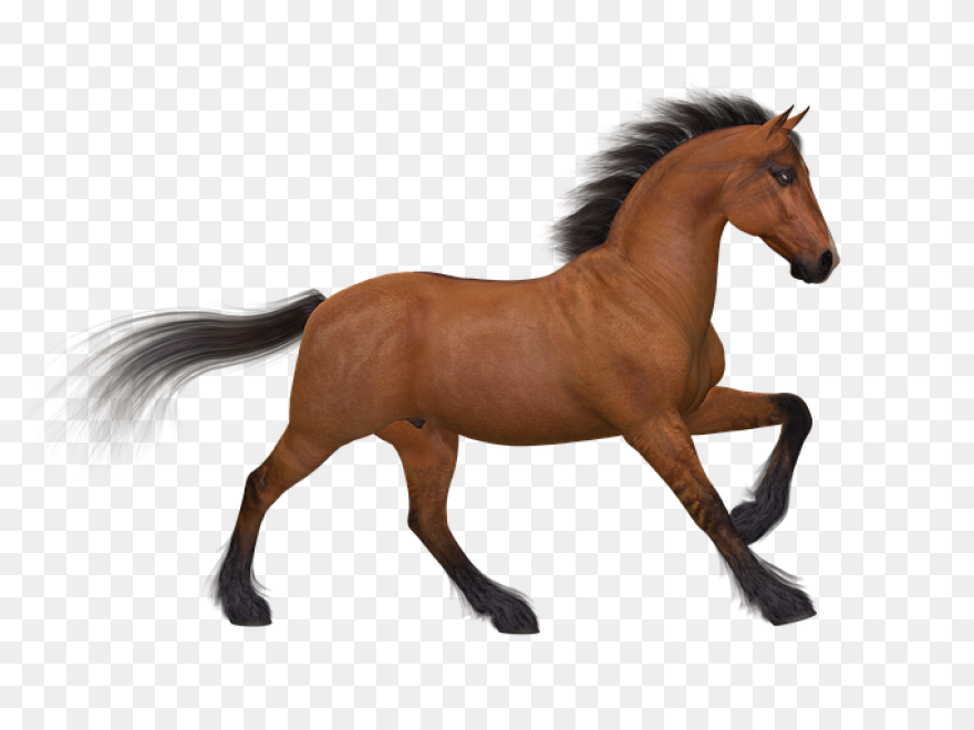 Mustang Clipart Kuda - Kuda Jengke 