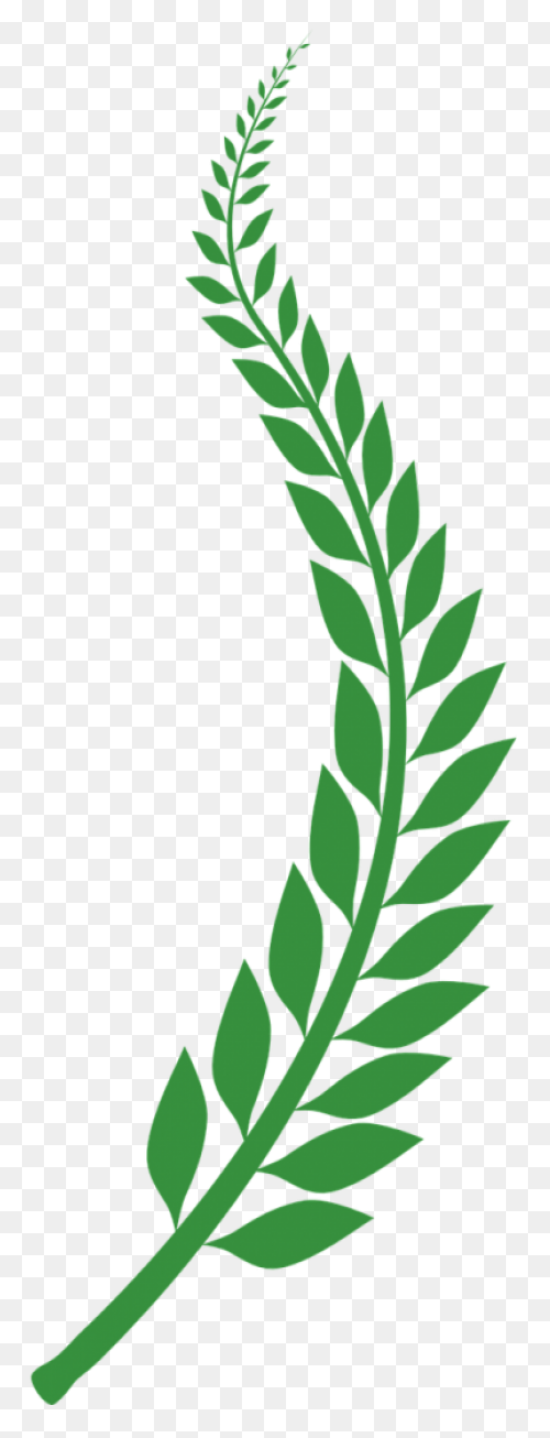 Laurel Wreath Olive Wreath Bay Laur