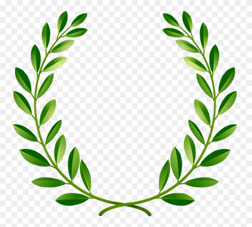 Laurel Wreath Olive Wreath Bay Laur