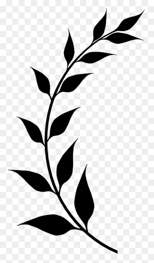 Laurel Wreath Olive Wreath Bay Laur