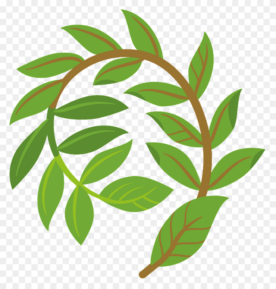 Laurel Wreath Olive Wreath Bay Laur