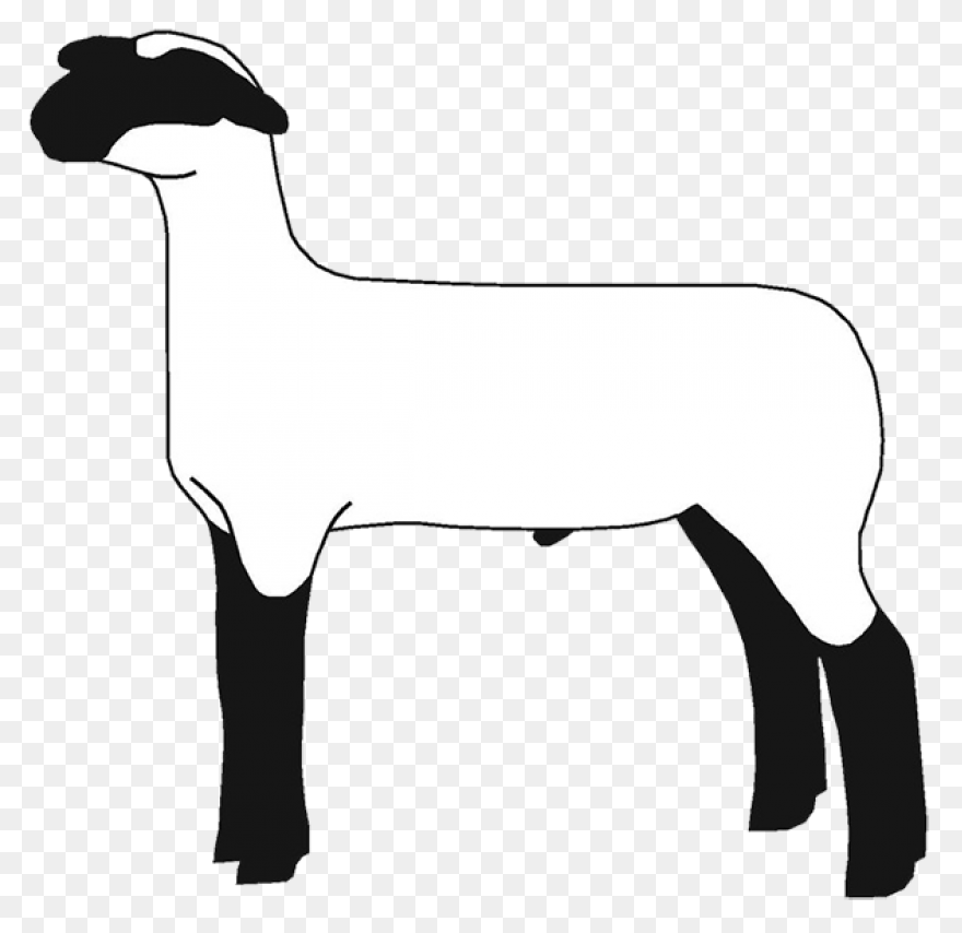 Sheep Lamb Clipart Black And White 