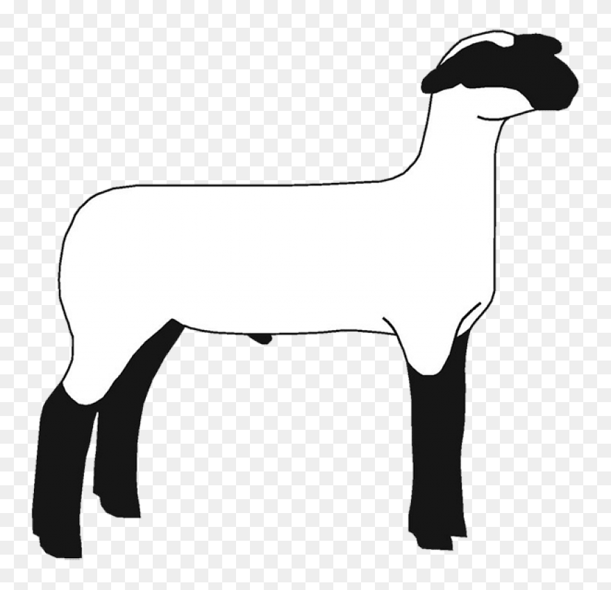 Sheep Lamb Clipart Black And White 
