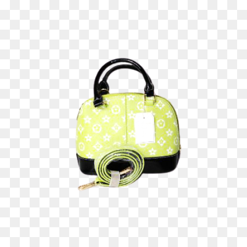 Handbag Purse Lady - Free Vector Gr