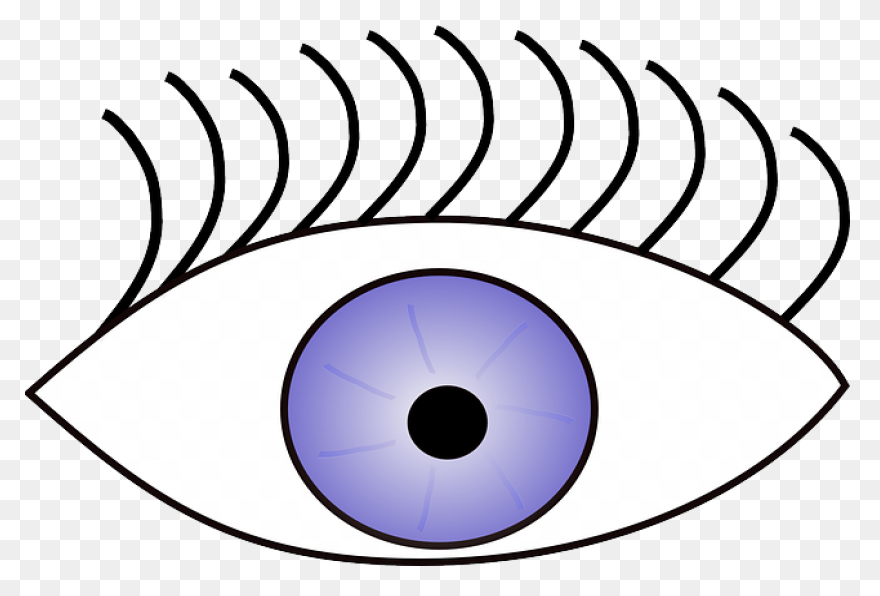 Photo Refractive Keratectomy (Prk) 