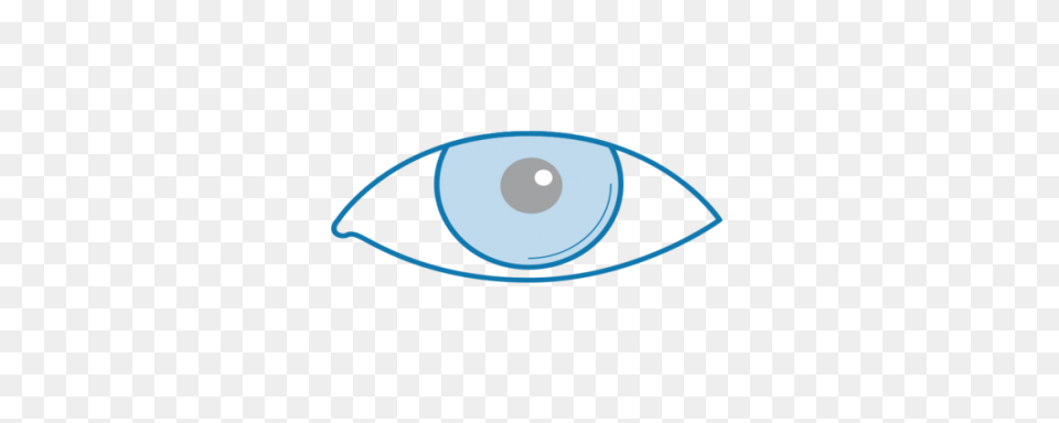 Photo Refractive Keratectomy (Prk) 