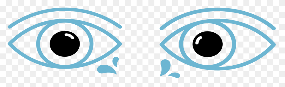 Photo Refractive Keratectomy (Prk) 