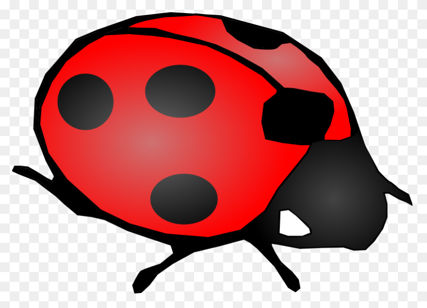 Ladybug Clipart High Resolution - B
