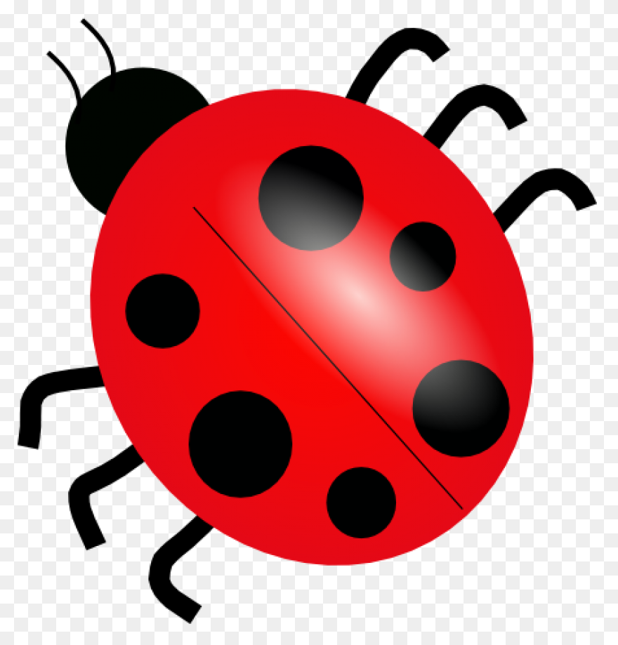 Ladybug Clipart High Resolution - B