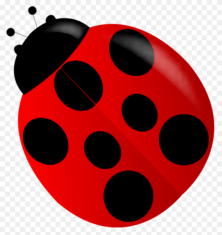 Ladybug Clipart High Resolution - B