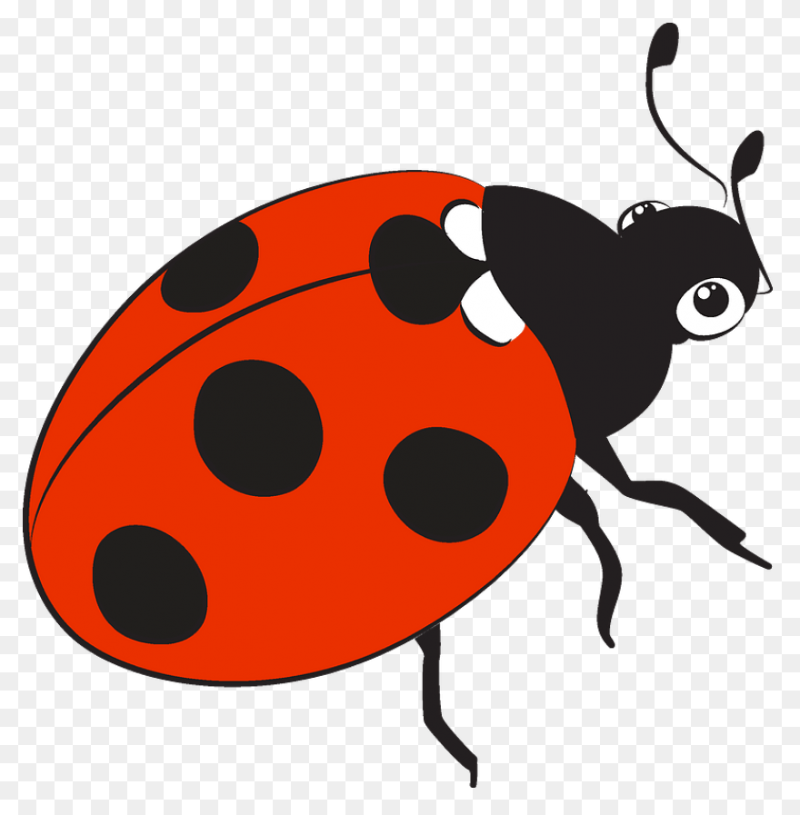 Ladybug Clipart High Resolution - B
