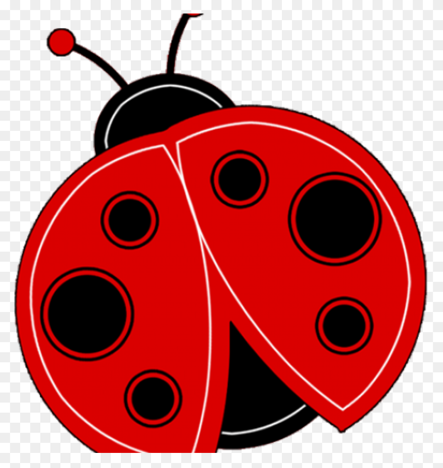 Ladybug Clipart High Resolution Baby - Ladybug