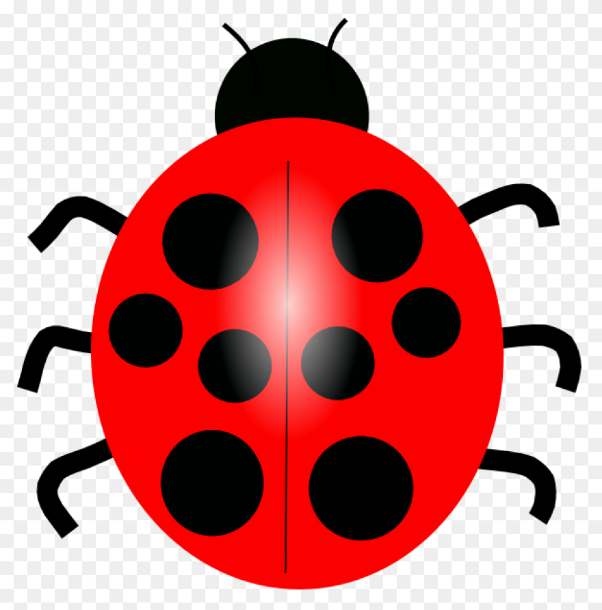 Ladybug Clipart High Resolution - B
