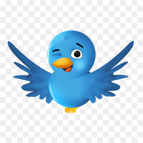 Larry The Bird | The Offical Talkin