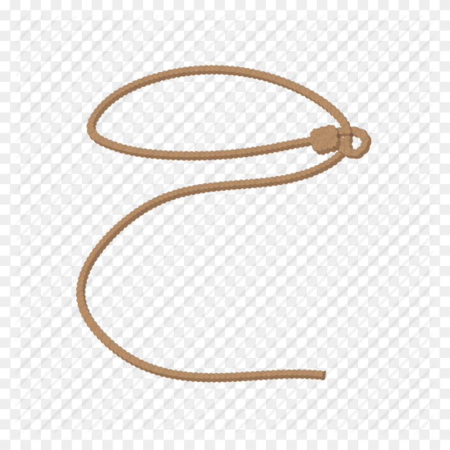 Lasso - Free Icons