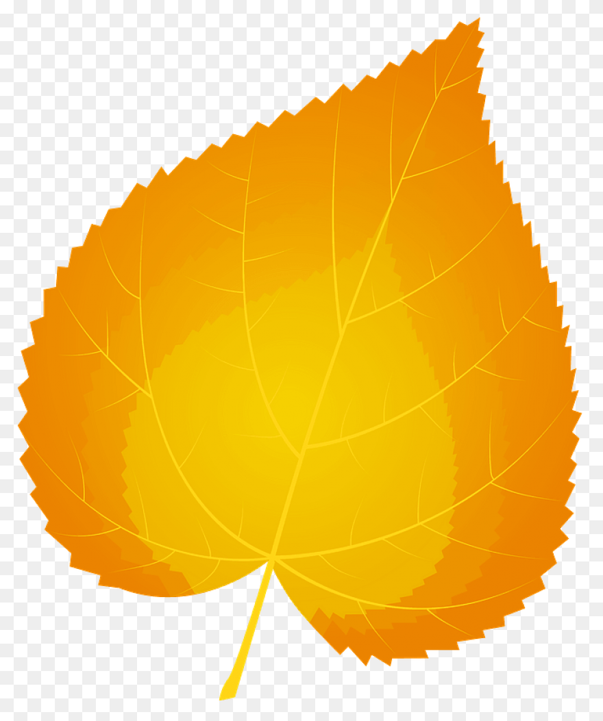 10 Jungle Leaves Ideas In 2021 | Le