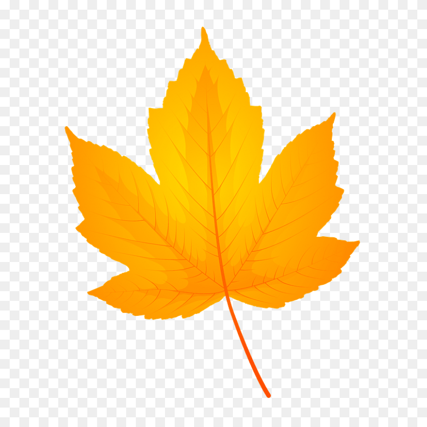 10 Jungle Leaves Ideas In 2021 | Le