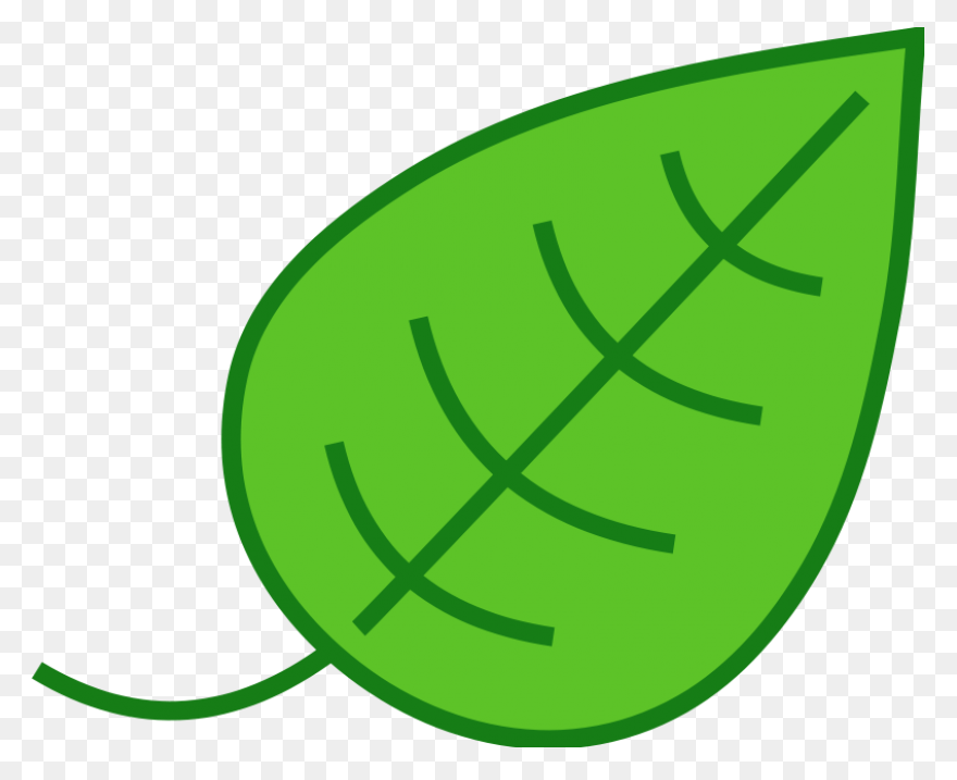 10 Jungle Leaves Ideas In 2021 | Le
