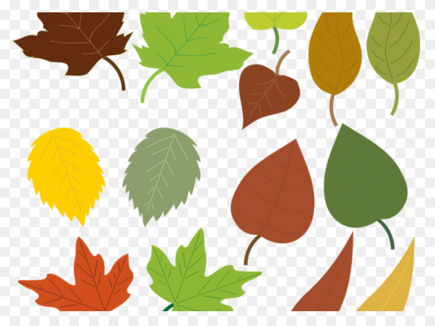 10 Jungle Leaves Ideas In 2021 | Le