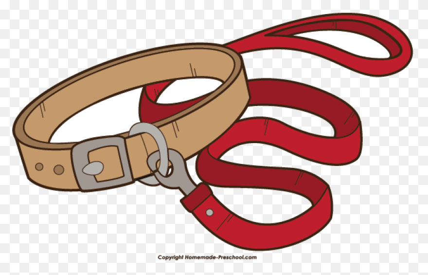 Nathan K9 Waist Pack With Dog Leash