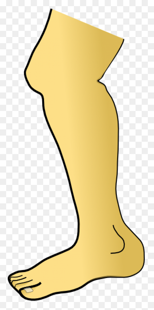 Legs And Feet Clipart. Free Downloa