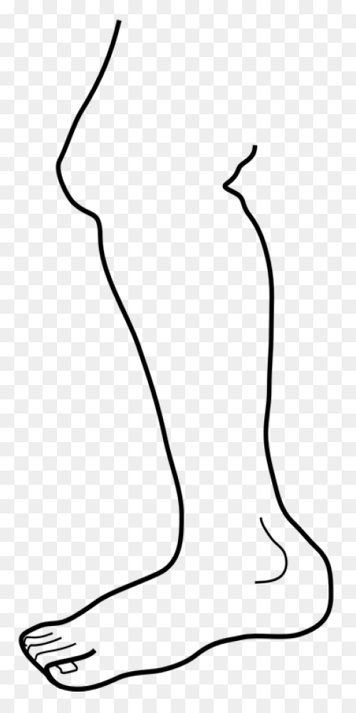 Legs And Feet Clipart. Free Downloa