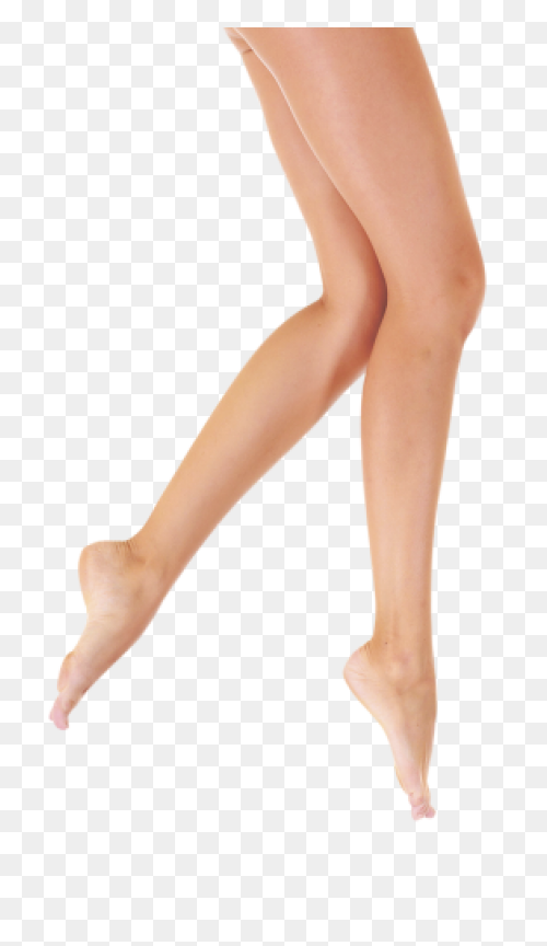 Legs And Feet Clipart. Free Downloa