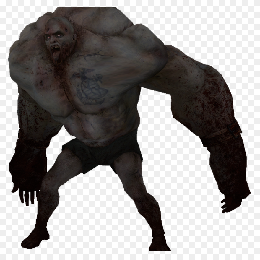 Left 4 Dead 2 Counter-Strike - Danc