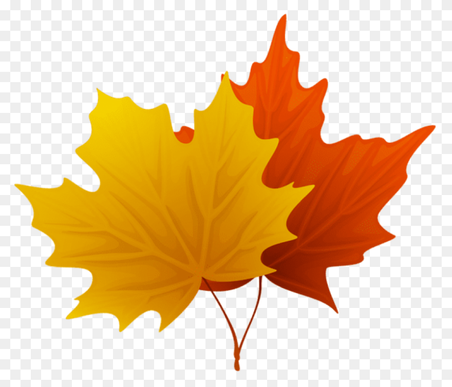 Leaves Clipart Brown Leaf - Fall Le